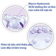 L'OREAL PARIS Revitalift Filler - Kem dưỡng da ban đêm chống lão hóa mạnh mẽ với HA , 50ml