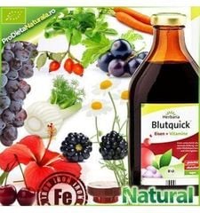 Blutquick Herbaria - Siro bổ sung SẮT và VITAMIN, lọ 250ml