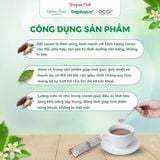  Bột Cacao - Atiso/Actiso TRAPHACOSAPA Chocolate Detox OCOP 4 Sao Thanh Lọc Cơ Thể Giảm Căng Thẳng Hộp 12 Gói 