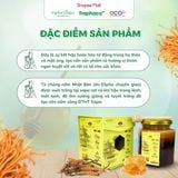  Đông Trùng Hạ Thảo Ngâm Mật Ong Sapaceps TRAPHACOSAPA Tăng Miễn Dịch Cải Thiện Trí Nhớ Giảm Mệt Mỏi 350ml 