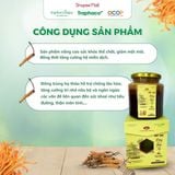  Đông Trùng Hạ Thảo Ngâm Mật Ong Sapaceps TRAPHACOSAPA Tăng Miễn Dịch Cải Thiện Trí Nhớ Giảm Mệt Mỏi 350ml 