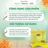  Trà Phun Sương Dưỡng Sinh Đông Trùng Hạ Thảo TRAPHACOSAPA Tốt Cho Sức Khoẻ Xua Tan Mệt Mỏi Hộp 20 Gói 
