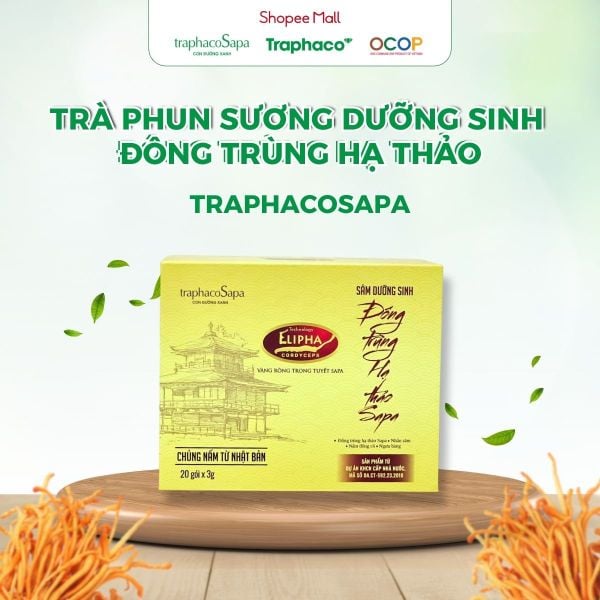  Trà Phun Sương Dưỡng Sinh Đông Trùng Hạ Thảo TRAPHACOSAPA Tốt Cho Sức Khoẻ Xua Tan Mệt Mỏi Hộp 20 Gói 
