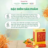  Trà Phun Sương Nghệ Mật Ong Đông Trùng Hạ Thảo Sapa TRAPHACOSAPA Giảm Mệt Mỏi Nâng Cao Cuộc Sống Hộp 20 Gói 