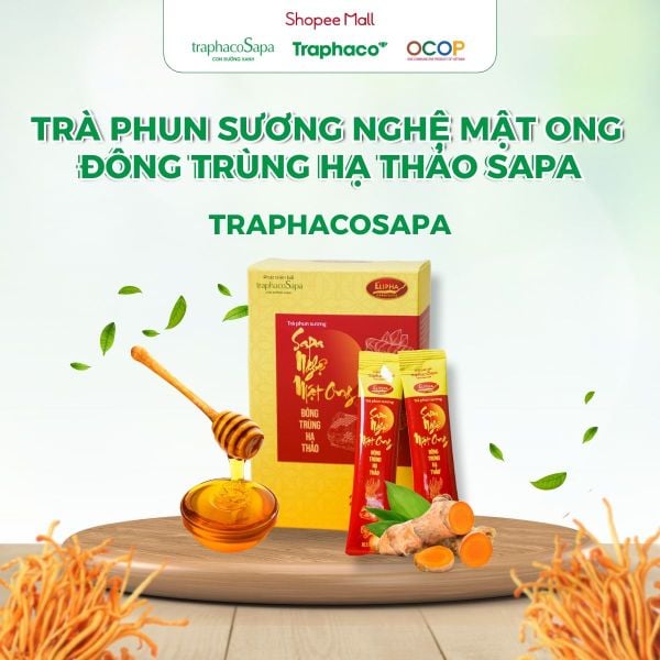  Trà Phun Sương Nghệ Mật Ong Đông Trùng Hạ Thảo Sapa TRAPHACOSAPA Giảm Mệt Mỏi Nâng Cao Cuộc Sống Hộp 20 Gói 