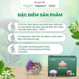  Trà Túi Lọc  Actiso/ Atiso Sapa TRAPHACOSAPA Hỗ Trợ Sức Khoẻ Thanh Lọc Cơ Thể Hộp 20 Túi Lọc 