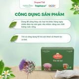 Trà Túi Lọc  Actiso/ Atiso Sapa TRAPHACOSAPA Hỗ Trợ Sức Khoẻ Thanh Lọc Cơ Thể Hộp 20 Túi Lọc 