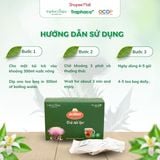  Trà Túi Lọc  Actiso/ Atiso Sapa TRAPHACOSAPA Hỗ Trợ Sức Khoẻ Thanh Lọc Cơ Thể Hộp 20 Túi Lọc 