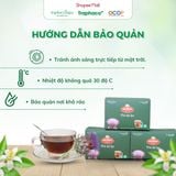  Trà Túi Lọc  Actiso/ Atiso Sapa TRAPHACOSAPA Hỗ Trợ Sức Khoẻ Thanh Lọc Cơ Thể Hộp 20 Túi Lọc 