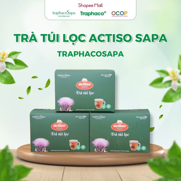  Trà Túi Lọc  Actiso/ Atiso Sapa TRAPHACOSAPA Hỗ Trợ Sức Khoẻ Thanh Lọc Cơ Thể Hộp 20 Túi Lọc 