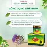  Cao Mềm Atiso Đảng Sâm Sapa TRAPHACOSAPA Loại Đậm Đặc Actiso Chống Lão Hoá Thanh Lọc Gan 130gr 