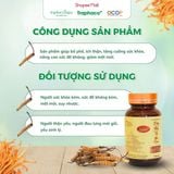  Viên Nang Đông Trùng Hạ Thảo Sapa TRAPHACOSAPA OCOP 3 Sao Tăng Sức Đề Kháng Giảm Mệt Mỏi Hộp 28 Viên 