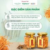  Đông Trùng Hạ Thảo Sapa Sấy Thăng Hoa TRAPHACOSAPA Nâng Cao Sức Khoẻ Giảm Mệt Mỏi 10gr 