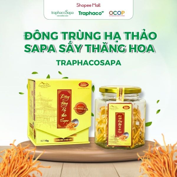  Đông Trùng Hạ Thảo Sapa Sấy Thăng Hoa TRAPHACOSAPA Nâng Cao Sức Khoẻ Giảm Mệt Mỏi 10gr 