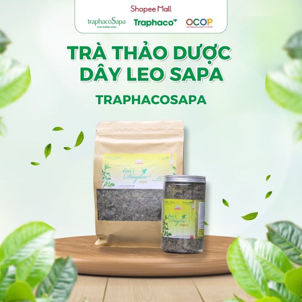  Trà Thảo Dược Dây Leo Sapa TRAPHACOSAPA OCOP 4 Sao Bảo vệ dạ dày 250gr 