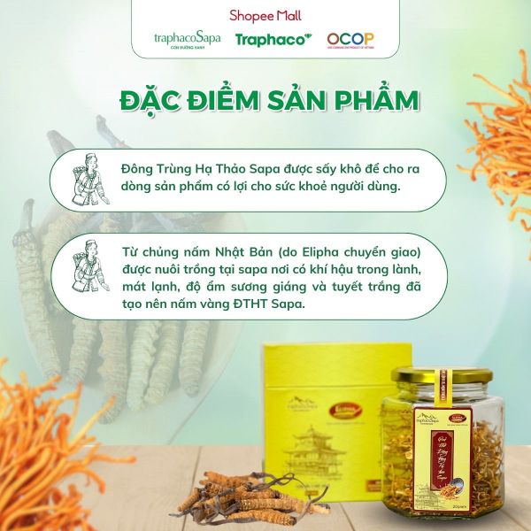  Đông Trùng Hạ Thảo Sấy Khô Sapa TRAPHACOSAPA OCOP 4 Sao Tăng Hệ Miễn Dịch Cải Thiện Trí Nhớ 25gr 