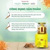  Đông Trùng Hạ Thảo Sấy Khô Sapa TRAPHACOSAPA OCOP 4 Sao Tăng Hệ Miễn Dịch Cải Thiện Trí Nhớ 25gr 