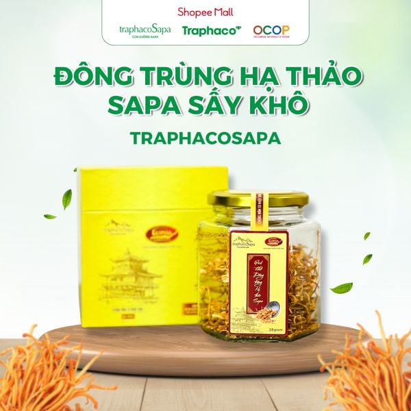  Đông Trùng Hạ Thảo Sấy Khô Sapa TRAPHACOSAPA OCOP 4 Sao Tăng Hệ Miễn Dịch Cải Thiện Trí Nhớ 25gr 