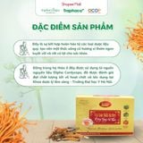  Trà Túi Lọc Đông Trùng Hạ Thảo Tam Thất Xạ Đen TRAPHACOSAPA Tăng Đề Kháng Tốt Cho Tim Mạch Hộp 18 Túi Lọc 
