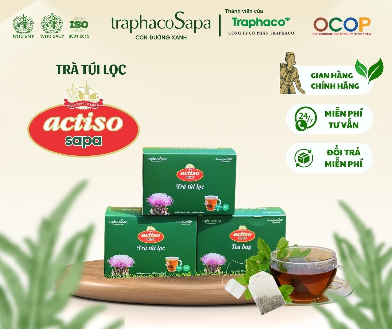  Trà túi lọc Actiso Sapa - Hộp 20 túi lọc 