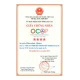  Bột Cacao - Atiso/Actiso TRAPHACOSAPA Chocolate Detox OCOP 4 Sao Thanh Lọc Cơ Thể Giảm Căng Thẳng Hộp 12 Gói 