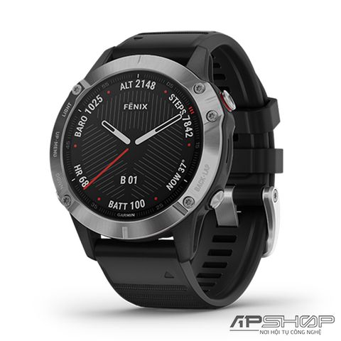 Garmin Fenix 6