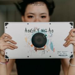 ANGRY MIAO AM CYBERBOARD R4 Graffiti