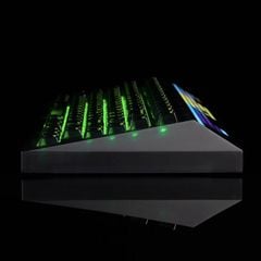 ANGRY MIAO Cyberboard Terminal | Chính hãng