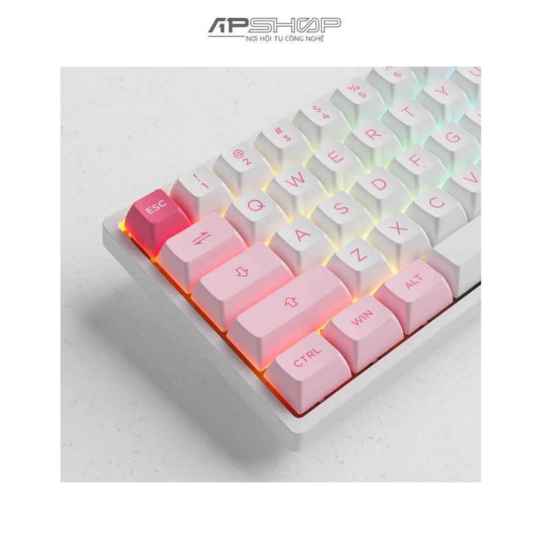 Bàn phím AKKO 3068B Plus Prunus Lannesiana RGB 3 Mod | Hotswap | Chính hãng