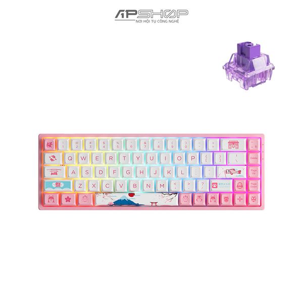 Bàn phím AKKO 3068B Plus World Tour Tokyo R2 RGB 3 Mod | Hotswap 5 Pin | Chính hãng