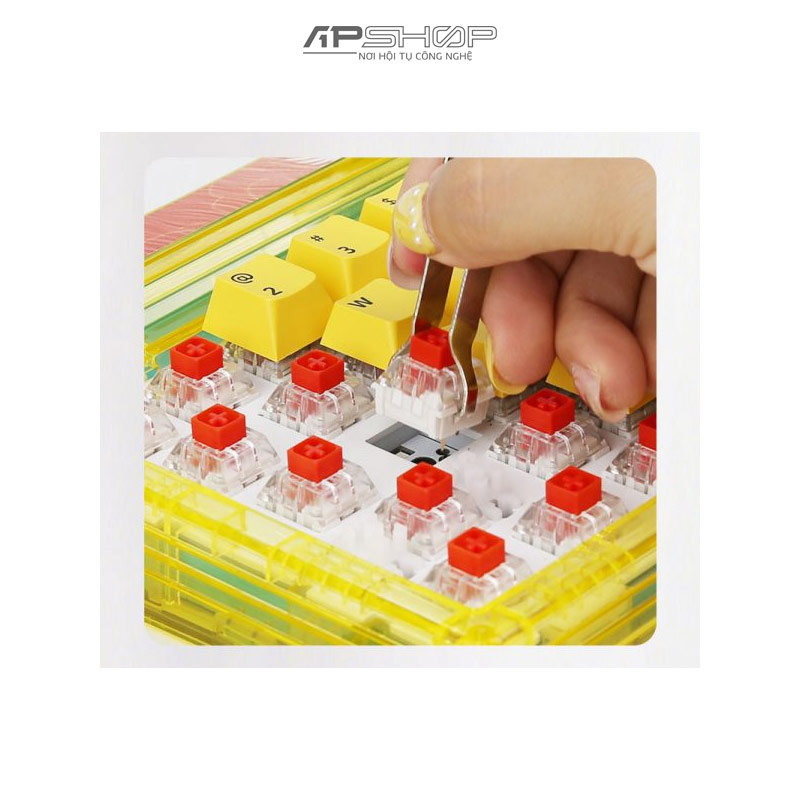 Bàn phím cơ Newmen GM780 Sun Gasket RGB 3 Mode Hotswap | Chính hãng