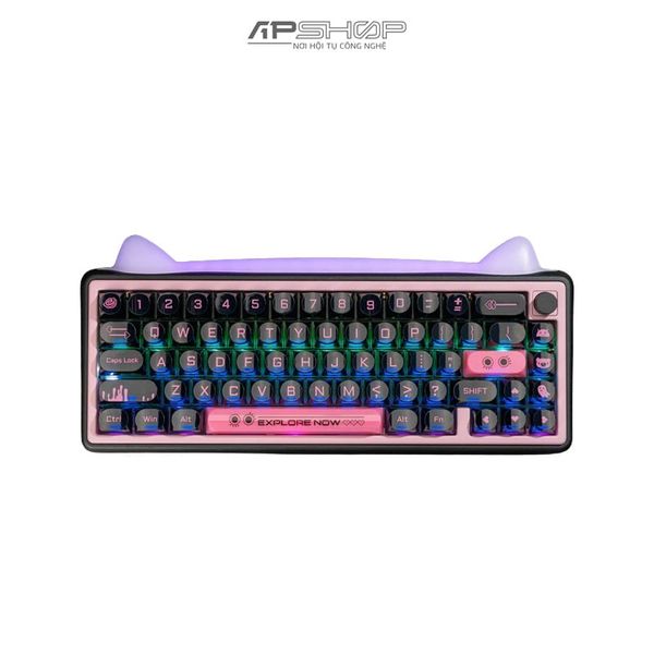 Bàn phím Custom sẵn | GB | Paw65 Keyboard