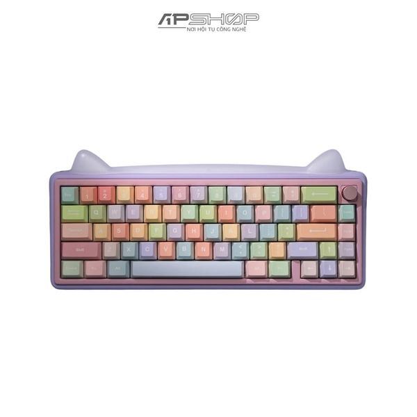 Bàn phím Custom sẵn | GB | Paw65 Keyboard