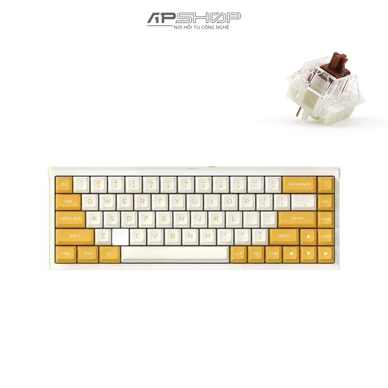 Gateron Cap Brown