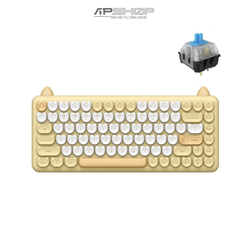 Bàn phím IQUNIX M80 Purry Cat Tabby Bluetooth 5.0 | Chính hãng