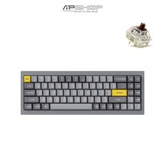 Gateron G Pro Brown