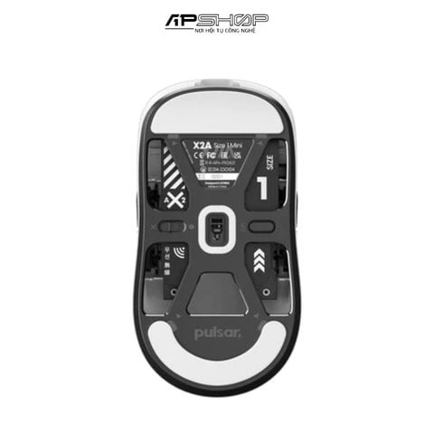 Chuột Pulsar X2A Mini Wireless | PX2A13