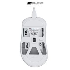 Chuột Pulsar Xlite Wired