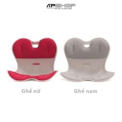 Combo Ghế chỉnh dáng ngồi đúng nam nữ