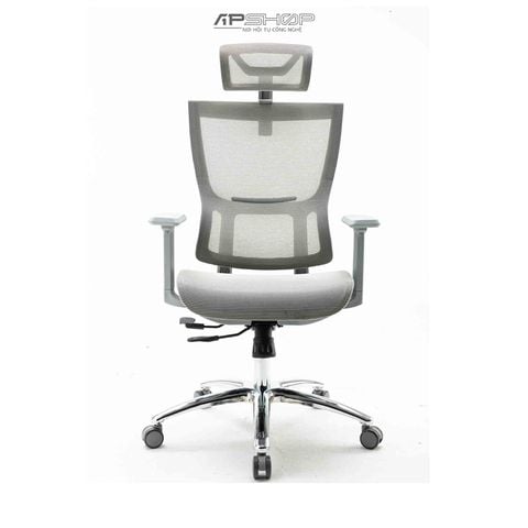 Ghế Công Thái Học Warrior Hero Series WEC506 Ergonomic | Chính hãng