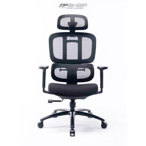 Ghế Công Thái Học Warrior WEC509 Ergonomic | Chính hãng