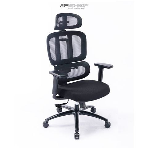 Ghế Công Thái Học Warrior WEC509 Ergonomic | Chính hãng