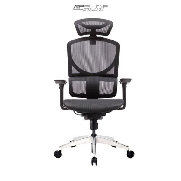 Ghế Ergonomic GTChair Dvary Isee Mini | Ghế bảo vệ sức khỏe