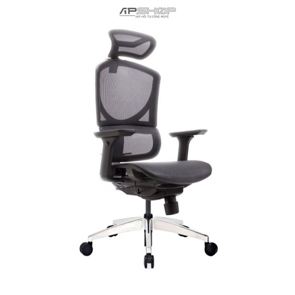 Ghế Ergonomic GTChair Dvary Isee Mini | Ghế bảo vệ sức khỏe