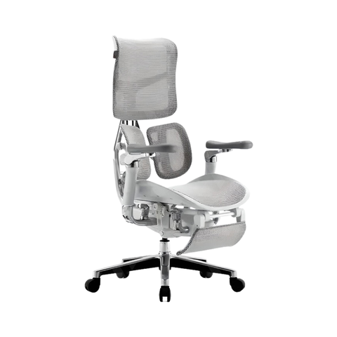 Ghế Công Thái Học Sihoo AU-1B