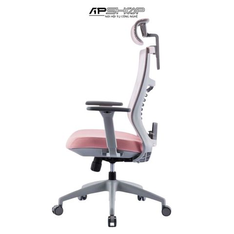 Ghế Công Thái Học Warrior WEC502 Pink Grey | Chính hãng