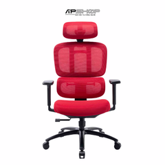 Ghế Công Thái Học Warrior WEC509 Ergonomic | Chính hãng