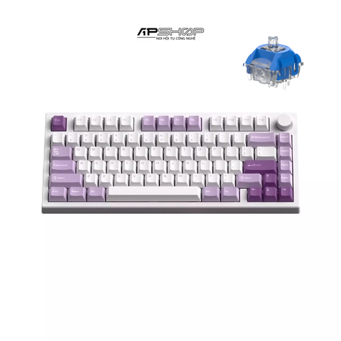 Bàn phím FL Esport GP75CPM RGB Taro Purple Hotswap 3 Mod | Chính hãng