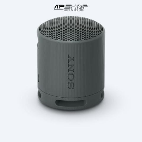 Loa Bluetooth Sony SRS-XB100