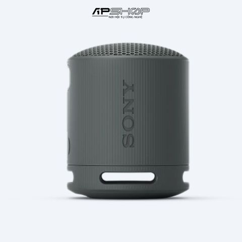 Loa Bluetooth Sony SRS-XB100
